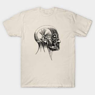 Facial Muscle Diagram - Vintage Anatomy T-Shirt